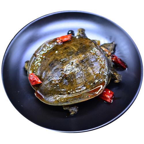 水产养殖中华鳖厂家,品牌,图片,热帖